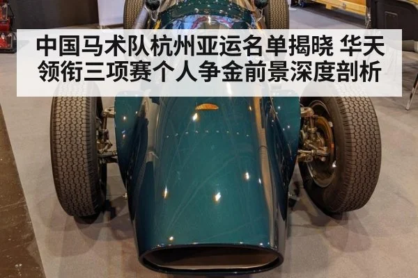 中国马术队杭州亚运名单揭晓 华天领衔三项赛个人争金前景深度剖析